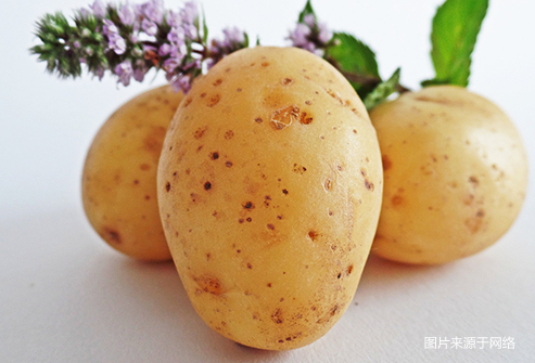 吃土豆会增加高血压风险?(图)