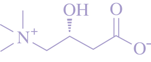 L-肉碱的化学结构